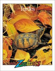 Cover of: Turtles (Zoobooks Series) by Timothy L. Biel, Timothy L. Biel, Wildlife Educ Ltd, John Bonnett Wexo