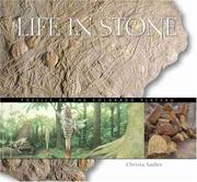 Cover of: Life in stone: fossils of the Colorado Plateau