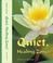 Cover of: Quiet, Healing Zone!