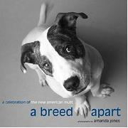 Cover of: A Breed Apart: A Celebration of the New American Mutt