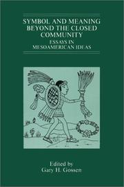 Cover of: Symbol and Meaning beyond the Closed Community: Essays in Mesoamerican Ideas (IMS Studies in Culture and Society)
