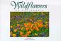 Cover of: Wildflowers of California