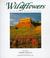 Cover of: Wildflowers of the Plateau & Canyon Country