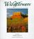 Cover of: Wildflowers of the Plateau & Canyon Country