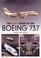 Cover of: The Airliner World Book of the Boeing 737