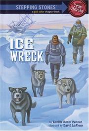 Cover of: Ice Wreck by Lucille Recht Penner