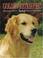 Cover of: Golden Retrievers Today (Book of the Breed)