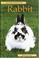 Cover of: RABBIT (Pet Owner's Guide)