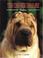 Cover of: THE SHAR PEI TODAY (Book of the Breed)