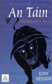 Cover of: An Tain: The Imperishable Celtic Epic, Cuchulain's Saga