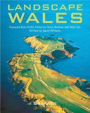 Landscape Wales by Williams, David