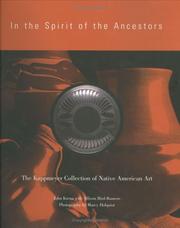 Cover of: In the spirit of the ancestors by Allison Bird-Romero