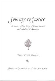 Journey to Justice by Diane Craig Chechik
