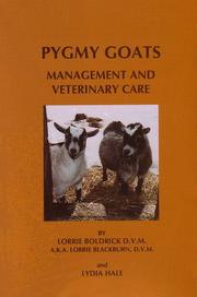 Pygmy goats by Lorrie Boldrick