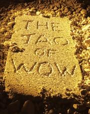 Cover of: The Tao of Wow / Art of Wow