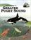 Cover of: Adventures in the Greater Puget Sound