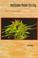 Cover of: Marijuana Flower Forcing