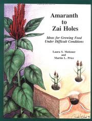 Amaranth to zai holes by Laura S. Meitzner