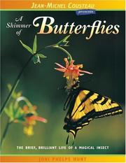 A Shimmer of Butterflies by Joni Phelps Hunt, Stanley Breeden