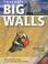 Cover of: Yosemite Big Walls (Supertopo)