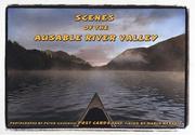 Cover of: Scenes of the Ausable River Valley