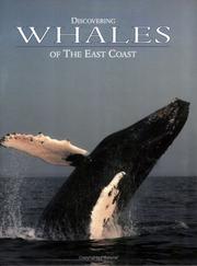Cover of: Discovering Whales of the East Coast by Stephan Mullane