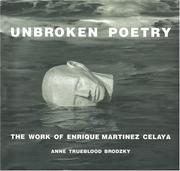 Cover of: Unbroken Poetry  | Anne Trueblood Brodzky