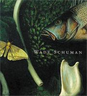 Cover of: Wade Schuman: Aspects of View