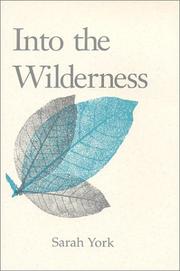 Cover of: Into the Wilderness by Sarah York