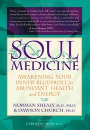 Cover of: Soul Medicine by C. Norman Shealy, Dawson Church