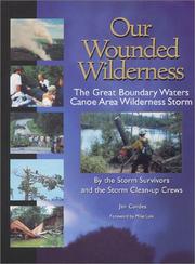 Our Wounded Wilderness by Jim Cordes