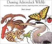 Cover of: Drawing Adirondack Wildlife