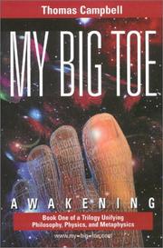 Cover of: My Big TOE by Thomas Campbell, Thomas Campbell