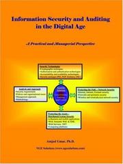 Cover of: Information Security and Auditing in the Digital Age: A Practical and Managerial Perspecive