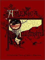 Cover of: America Illustrated by J. David Williams, J. David Williams