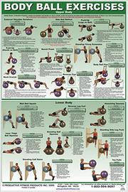 Cover of: Body Ball Exercises-Upper Body/Lower Body Laminated (Poster) by Andre Noel Potvin