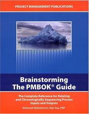 Cover of: Brainstorming the PMBOK Guide