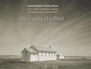 Cover of: Picturing the Past | Jay D. Vogt