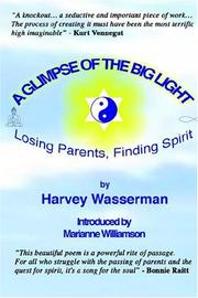 Cover of: A Glimpse of the Big Light: Losing Parents, Finding Spirit