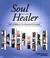 Cover of: Soul of the Healer