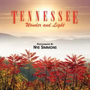 Cover of: Tennessee Wonder and Light by Nye Simmons