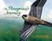 Cover of: The Peregrine's Journey