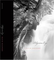 Cover of: Pilgrim Eye