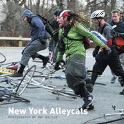 Cover of: New York Alleycats