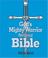 Cover of: God's Mighty Warrior Devotional Bible