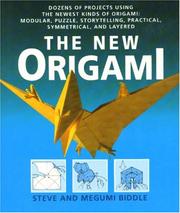 Cover of: The New Origami by Steve Biddle