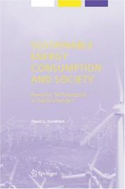 Cover of: Sustainable energy consumption and society: personal, technological, or social change?