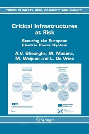 Cover of: Critical Infrastructures at Risk  by A.V. Gheorghe, M. Masera, M. Weijnen, L.J. De Vries