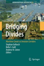 Cover of Bridging divides by 