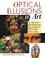 Cover of: Optical Illusions in Art